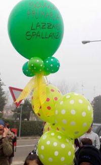 IMG_6382.jpg