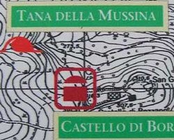 Tana della mussina